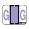 Nevs Tabbie - Filing Labels - Large - Letter G 1" x 1-1/4" Lavender XA-T-G - alternate 1